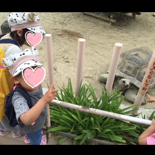動物園