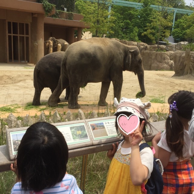 動物園